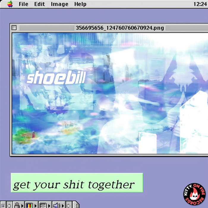 get your shit together by Shoebill